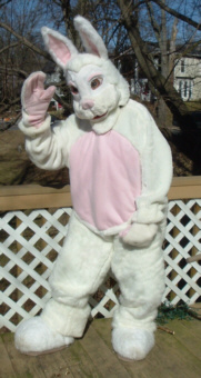 e-bunny soft head